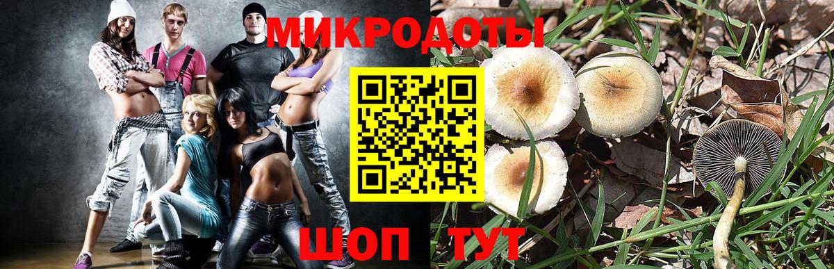 Галлюциногенные грибы мухоморы Ивантеевка