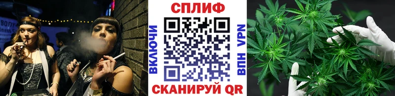 как найти закладки  Ивантеевка  МАРИХУАНА MAZAR 
