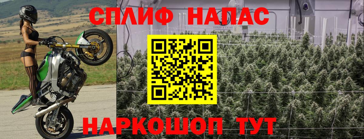 Конопля White Widow Ивантеевка